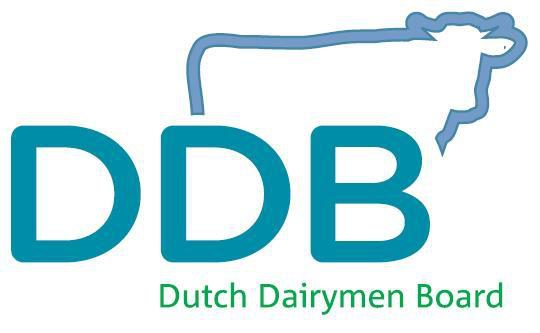 logo.name